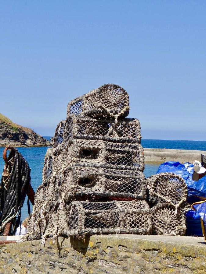 The Slipway B&B Port Isaac Exteriér fotografie