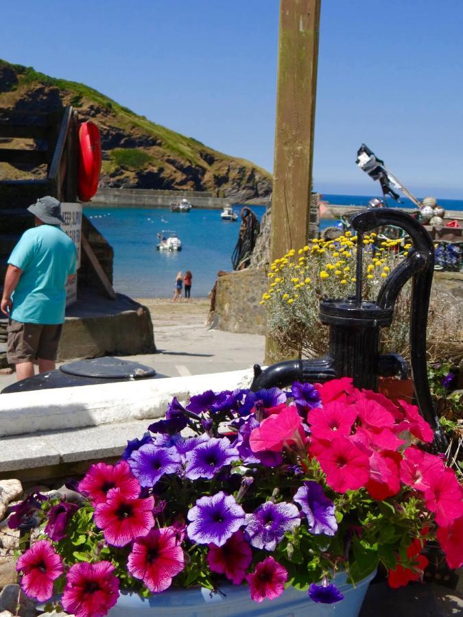 The Slipway B&B Port Isaac Exteriér fotografie